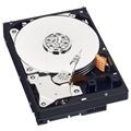 HD WD 500GB 7200RPM SATA II